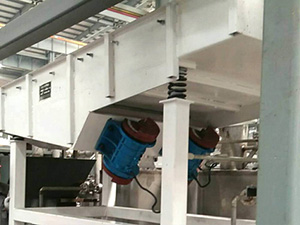 不銹鋼直線(xiàn)振動(dòng)篩面粉篩分現(xiàn)場(chǎng)，產(chǎn)量5t/h